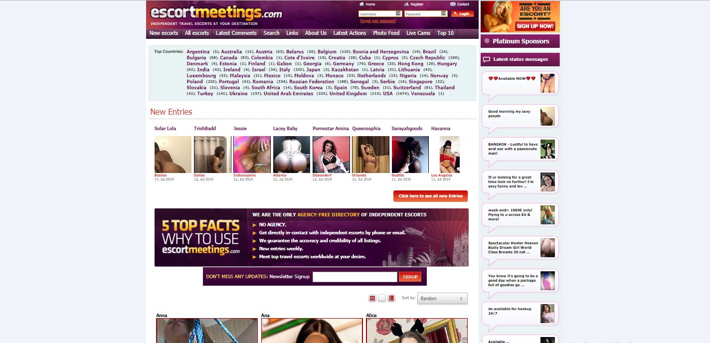 Escort Meetings review home page