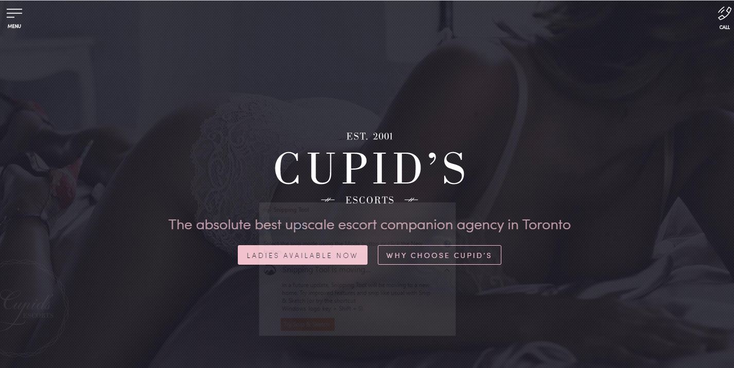 Cupid's Escorts Review homepage screenshot