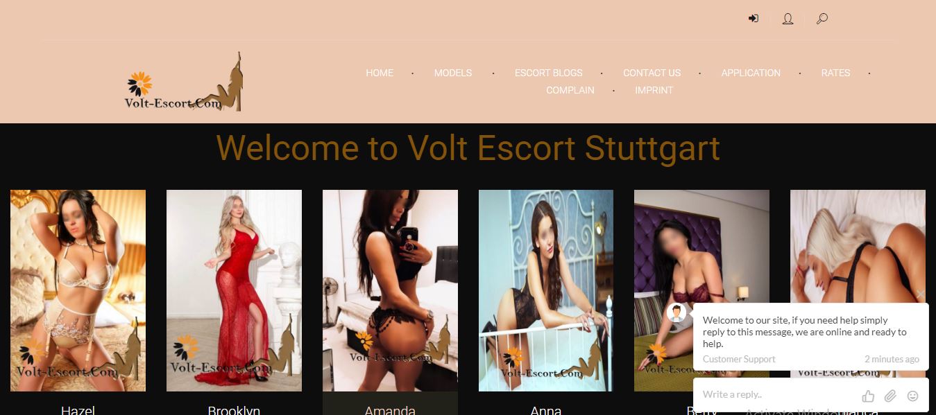 Volt Escort Stuttgart review homepage screenshot