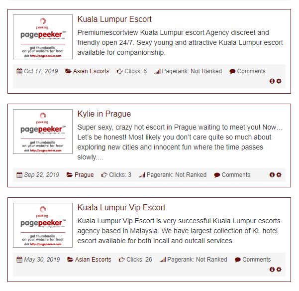 Angel Elite Escort review listings screenshot